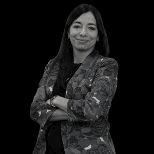 Silvina Seiguer - Director Communications & Social Responsibility Latin America, Kimberly-Clark